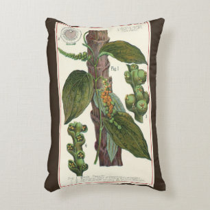 Vintage Kräuter Gewürze, Pflanze Black Pepper Dekokissen