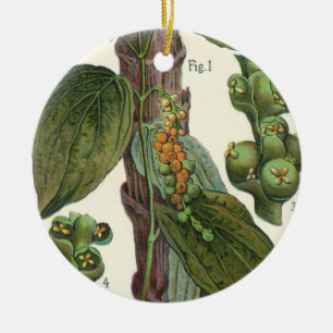 Vintage Kräuter Gewürze, Pflanze Black Pepper Keramikornament