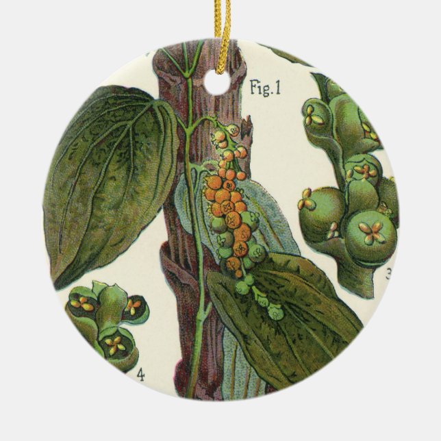 Vintage Kräuter Gewürze, Pflanze Black Pepper Keramikornament (Vorne)