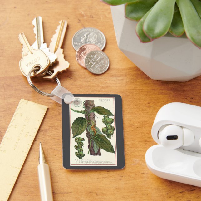 Vintage Kräuter Gewürze, Pflanze Black Pepper Schlüsselanhänger (Schreibtisch)