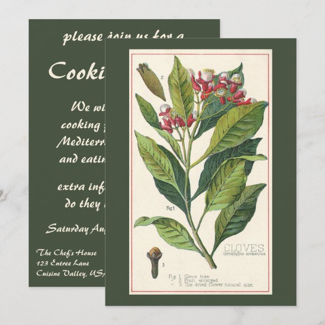 Vintage Kräuter Gewürze, Pflanze der Gewürze Einladung (Vorne/Hinten)