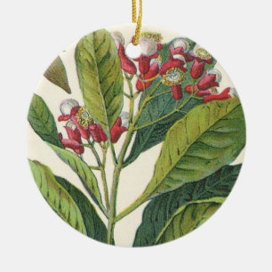 Vintage Kräuter Gewürze, Pflanze der Gewürze Keramikornament