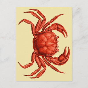 Vintage-Krebs-Design Postkarte