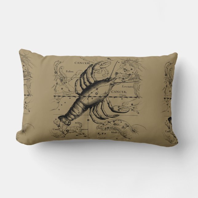 Vintage Krebskonstellation Karte Hevelius 1690 Lendenkissen (Vorderseite)