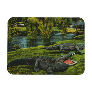 Vintage Krokodile, Meeresleben Reptilien Tiere Magnet