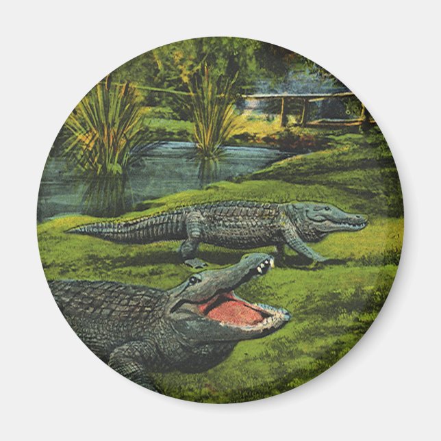 Vintage Krokodile, Meereslebewesen Reptilien Magnet (Vorne)