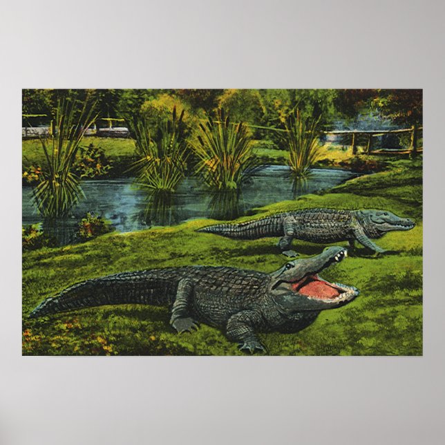 Vintage Krokodile, Meereslebewesen Reptilien Poster (Vorne)