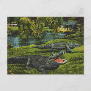 Vintage Krokodile, Meereslebewesen Reptilien Postkarte