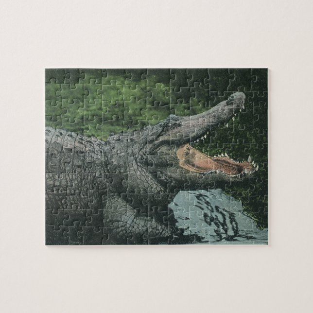 Vintage Krokodile Reptilien, Meerestierleben Puzzle (Horizontal)