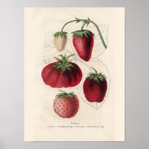 Vintage Küche Wand Kunst