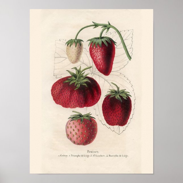 Vintage Küche Wand Kunst (Vorne)