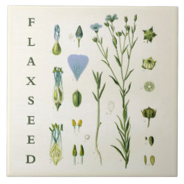Vintage-Küchenkunst: Flachssamen Leinsamen Flachsp Fliese