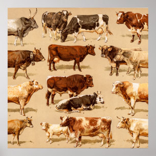 Vintage-Kuh-Kalb-Stier-Milchkühe-Landwirtschaft-Il Poster
