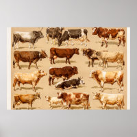 Vintage-Kuh-Kalb-Stier-Milchkühe-Landwirtschaft-Il