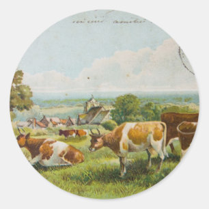 Vintage Kühe auf einer Feldpostkarte Runder Aufkleber