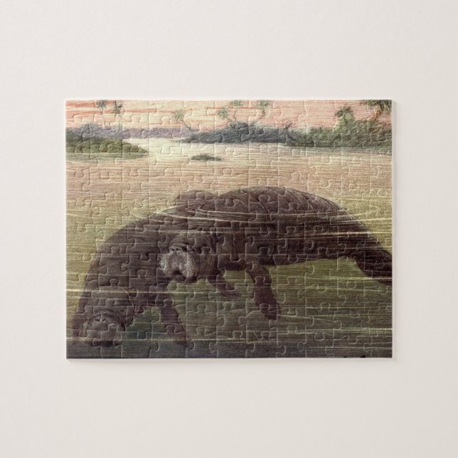 Vintage Kühe oder Meeressäugetiere, Meeressäugetie Puzzle (Horizontal)