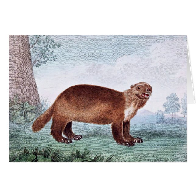 Vintage Kunst des Wolverine (Vorderseite (Horizontal))