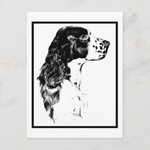 Vintage-Kunst-Englisch-Springer-Spaniel-Postkarte Postkarte