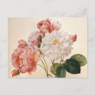 Vintage-Kunst-Rosenblumen-Postkarte Postkarte