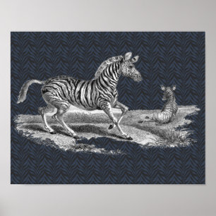 Vintage-Kunst-Zebra-Stute-und-Fohlen-Tierposter Poster