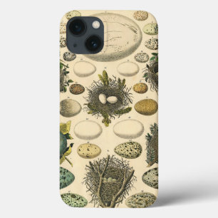 Vintage Kunstmalerei von Vogeleiern im Nest Naturg Case-Mate iPhone Hülle