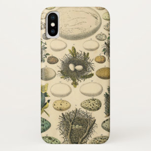 Vintage Kunstmalerei von Vogeleiern im Nest Naturg Case-Mate iPhone Hülle