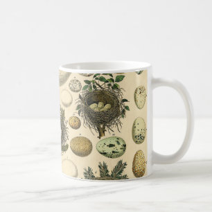 Vintage Kunstmalerei von Vogeleiern im Nest Naturg Kaffeetasse