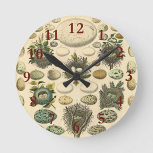 Vintage Kunstmalerei von Vogeleiern im Nest Naturg Runde Wanduhr