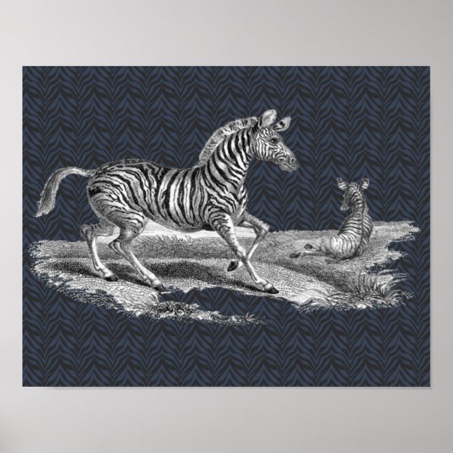 Vintage Kunstzebra-Stute und Fohlen-Tier-Plakat Poster (Vorne)