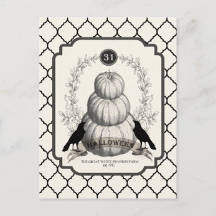 Vintage Kürbis Postkarte