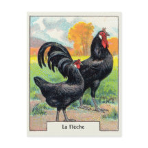 Vintage La Fleche Hühnchen