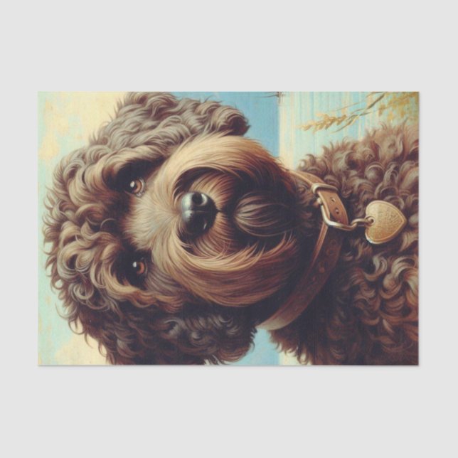 Vintage Lagotto Romagnolo Malerei Seidenpapier (Vorderseite)