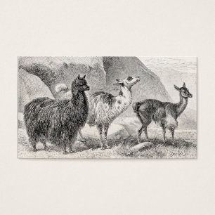 Vintage Lama-Alpaka-Schablonen-Lama-Alpakas
