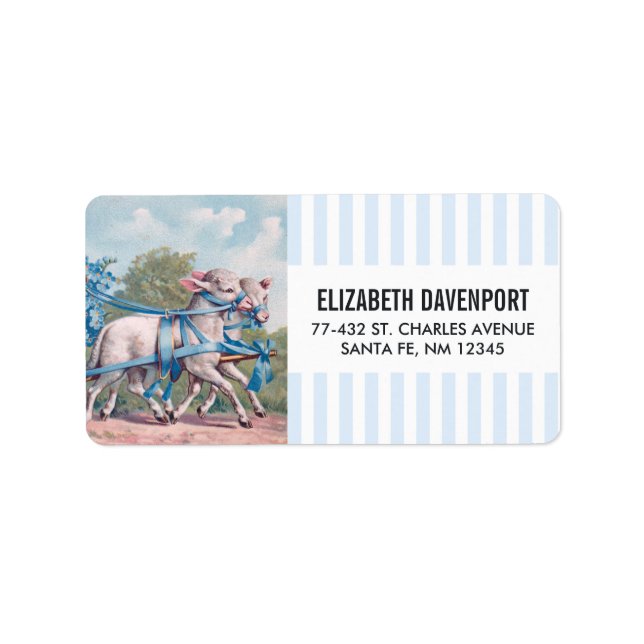 Vintage Lämmer in Extravaganten blauen Ribbons gek Adressaufkleber (Vorne)