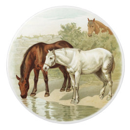 Vintage Landpferde Keramikknauf