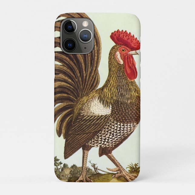 Vintage Landtiere Hühner, Stolz Case-Mate iPhone Hülle (Rückseite)