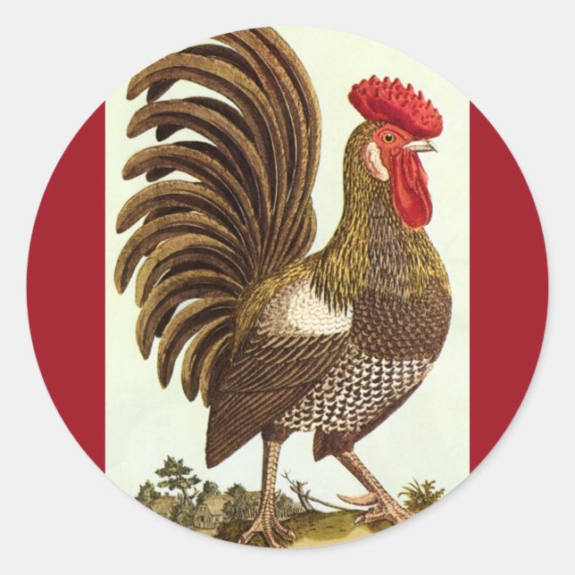 Vintage Landtiere Hühner, Stolz Runder Aufkleber (Vorderseite)