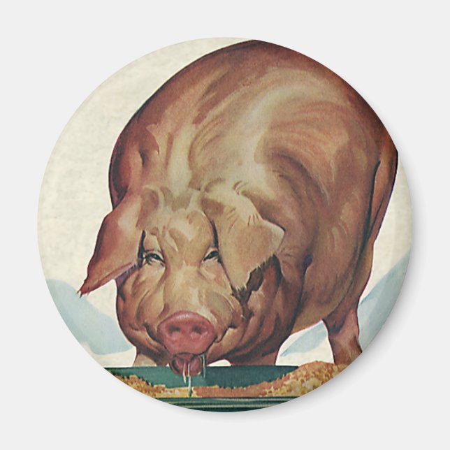 Vintage Landtiere, Schweinezucht an einem Talg Magnet (Vorne)