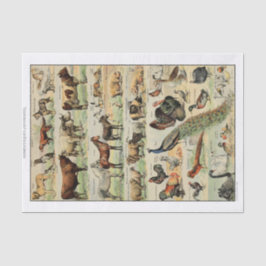 Vintage Landtiere Seidenpapier