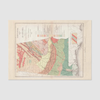 Vintage-Landwirtschaftskarte von Alabama (1882) Seidenpapier