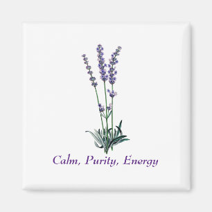 Vintage Lavendel-Blume Magnet
