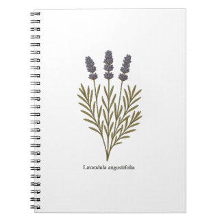 Vintage Lavendel-Blume Notizblock