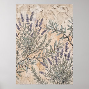 Vintage-Lavendel-Botanikposter Poster