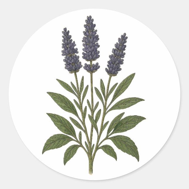 Vintage Lavender Sticker - round (Vorderseite)