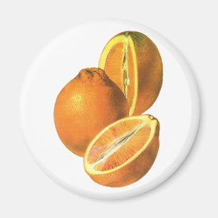 Vintage-Lebensmittel, Bio-Früchte Frische gesunde  Magnet