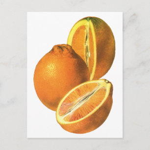 Vintage-Lebensmittel, Bio-Früchte Frische gesunde Postkarte