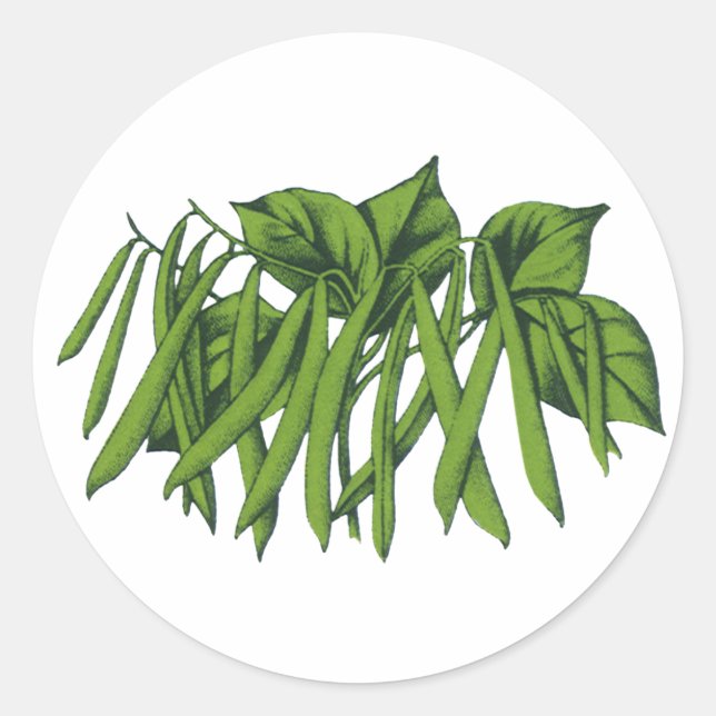 Vintage Lebensmittel, Bio grüne Bohnen Gemüse Runder Aufkleber (Vorderseite)