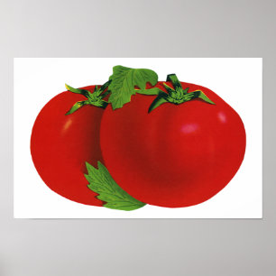 Vintage-Lebensmittel, Bio-Rote Reife-Erbstück-Toma Poster