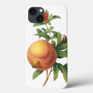 Vintage-Lebensmittel-Frucht, Granatapfel von Redou iPhone 13 Hülle