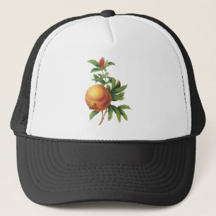 Vintage-Lebensmittel-Frucht, Granatapfel von Redou Truckerkappe
